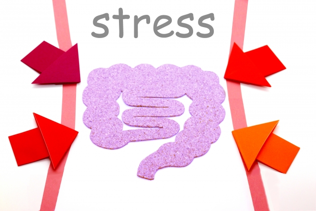 腸内環境とストレスの関係